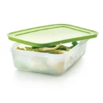 Tupperware alaska 1.1 litre yatay derin dondurucu saklama kabı hızlı dondurma