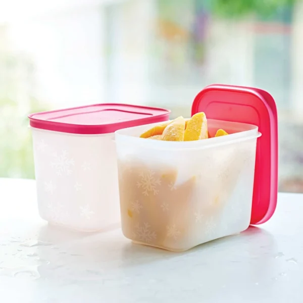Tupperware Alaska 1.1 Litre Ikili Derin Dondurucu Saklama Kabi Seti